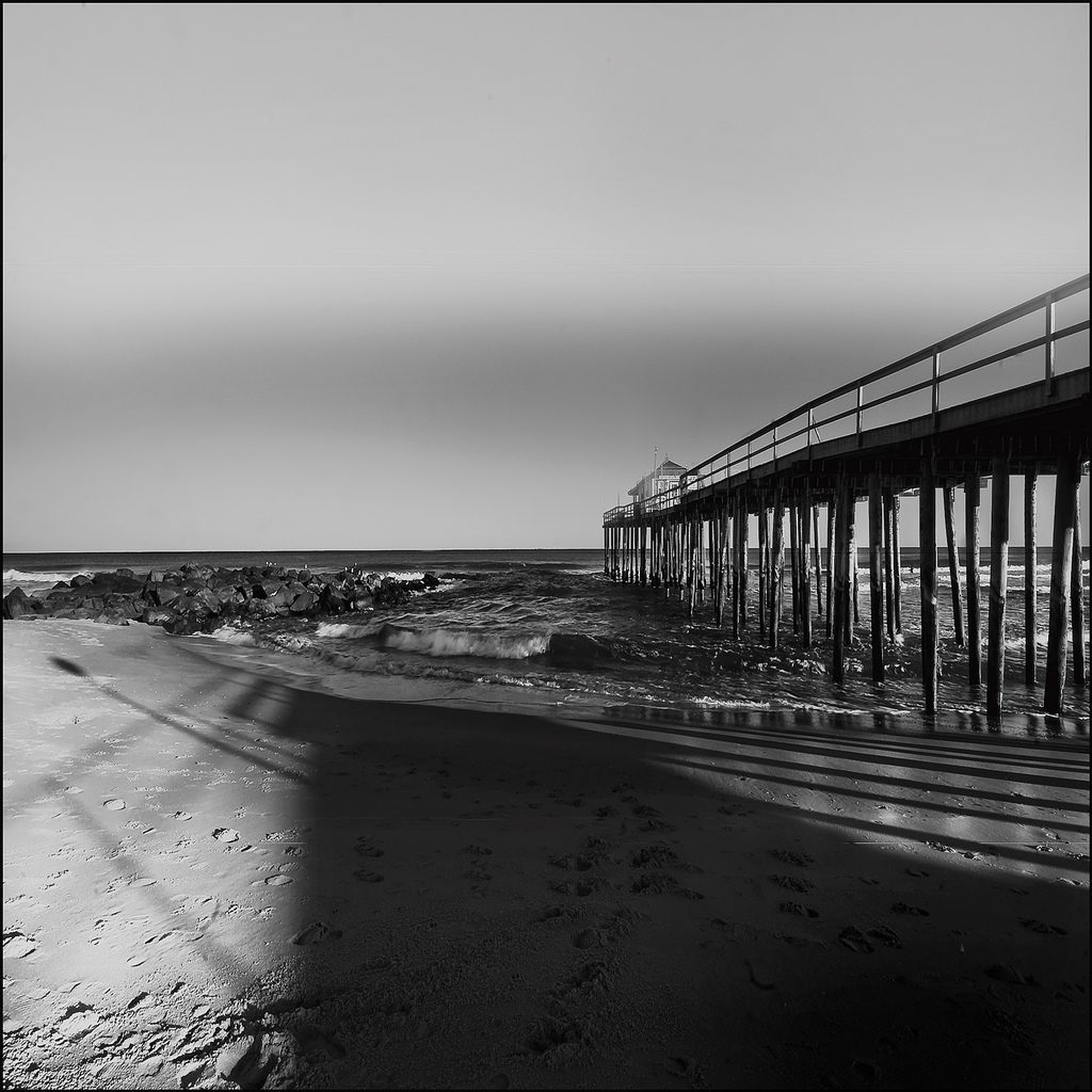 Shades of black or gray